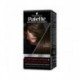 Palette colorazione Professional Performance 4_1 CASTANO