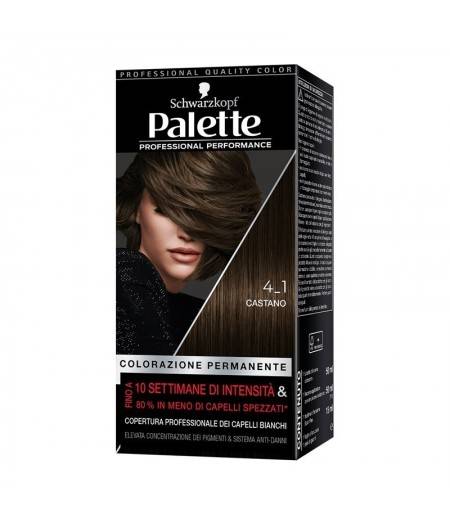 Palette colorazione Professional Performance 4_1 CASTANO