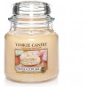 Yankee Candle - VANILLA CUPCAKE