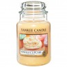 Yankee Candle - VANILLA CUPCAKE