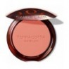 Terracotta Blush 4