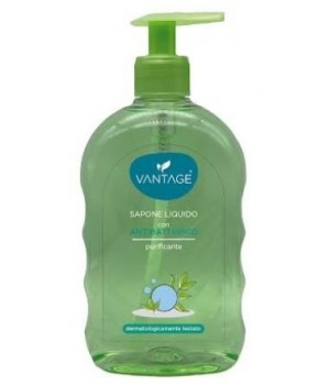 Sapone Liquido Antibatterico 500 ml Purificante