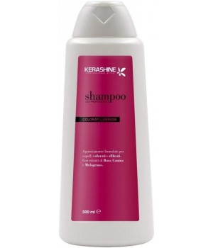 Shampoo Capelli Colorati 500 Ml Uso Professionale