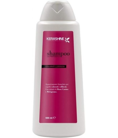 Shampoo Capelli Colorati 500 Ml Uso Professionale