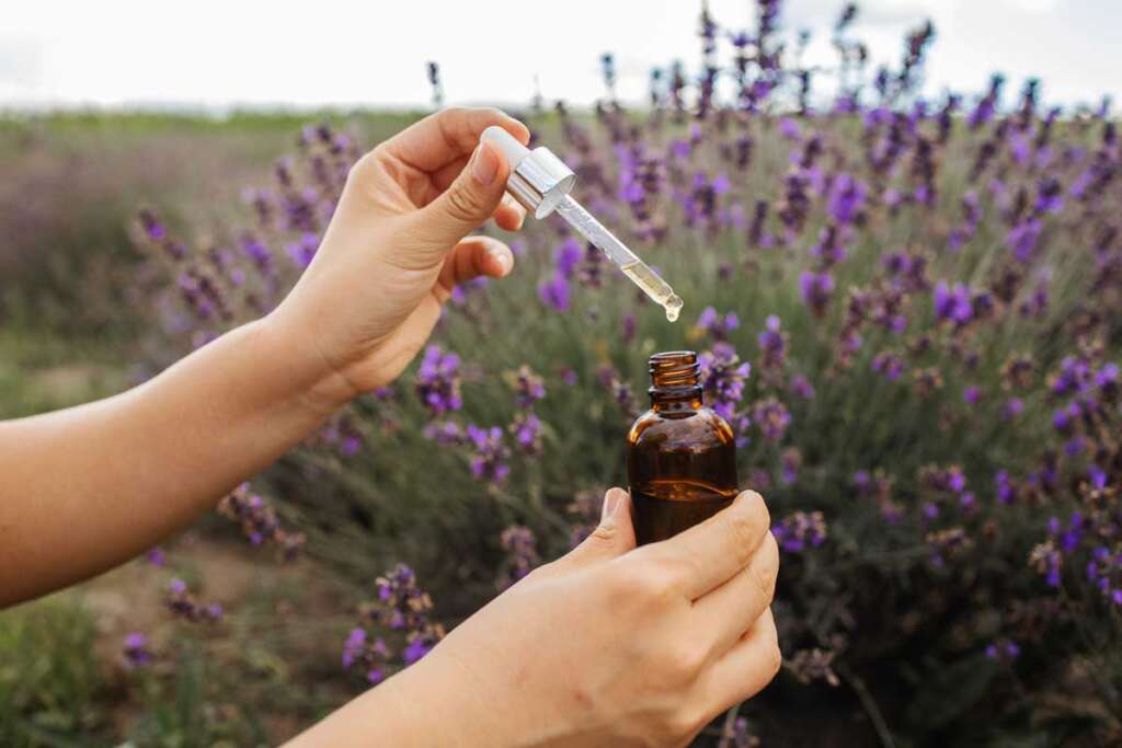 olio essenziale di lavanda per scottature